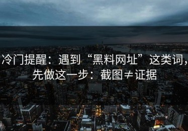 冷门提醒：遇到“黑料网址”这类词，先做这一步：截图≠证据