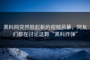 黑料网突然掀起新的视频风暴，网友们都在讨论这颗“黑料炸弹”