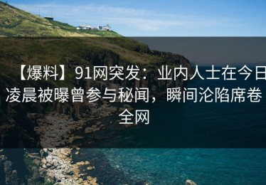 【爆料】91网突发：业内人士在今日凌晨被曝曾参与秘闻，瞬间沦陷席卷全网