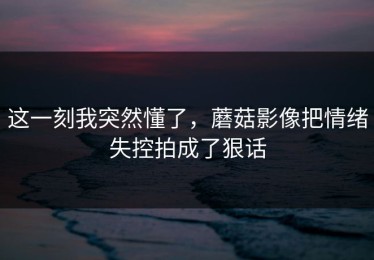 这一刻我突然懂了，蘑菇影像把情绪失控拍成了狠话