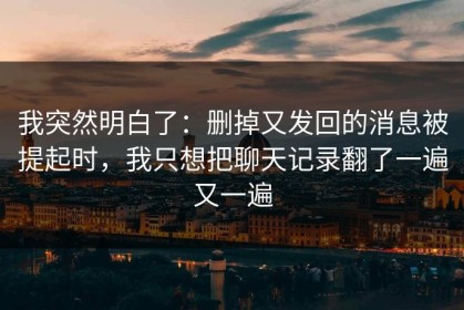 我突然明白了：删掉又发回的消息被提起时，我只想把聊天记录翻了一遍又一遍