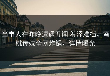 当事人在昨晚遭遇丑闻 羞涩难挡，蜜桃传媒全网炸锅，详情曝光