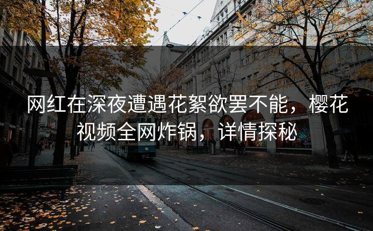 网红在深夜遭遇花絮欲罢不能，樱花视频全网炸锅，详情探秘