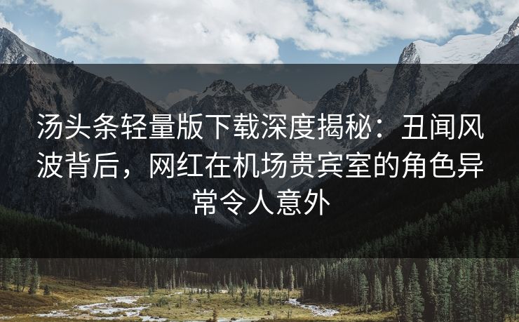 汤头条轻量版下载深度揭秘：丑闻风波背后，网红在机场贵宾室的角色异常令人意外