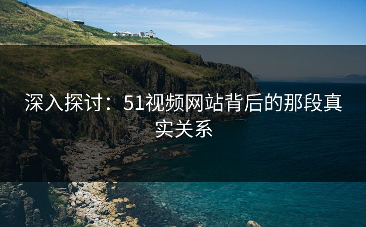 深入探讨：51视频网站背后的那段真实关系